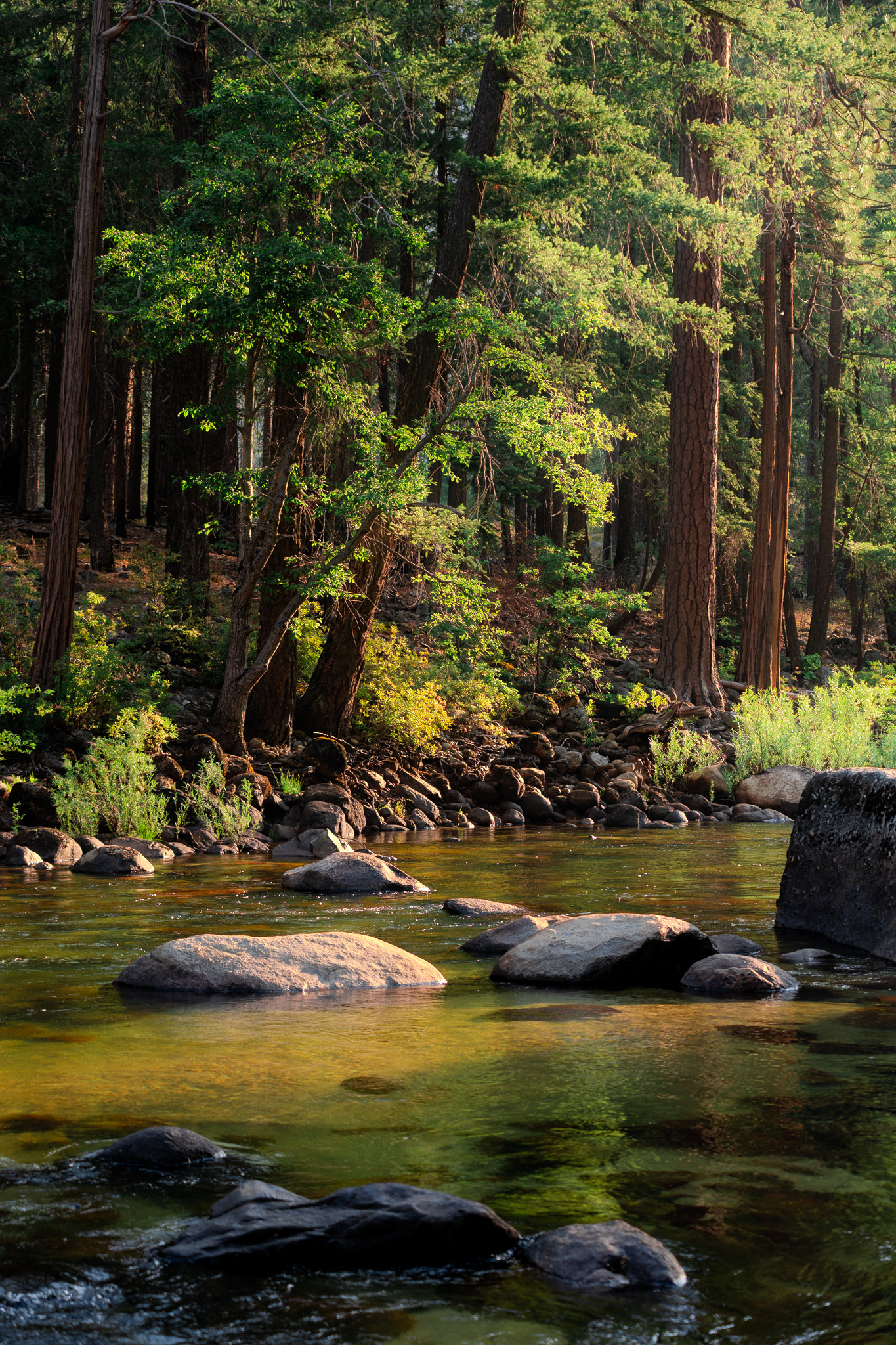 LANDSCAPES image DSC01084.jpg