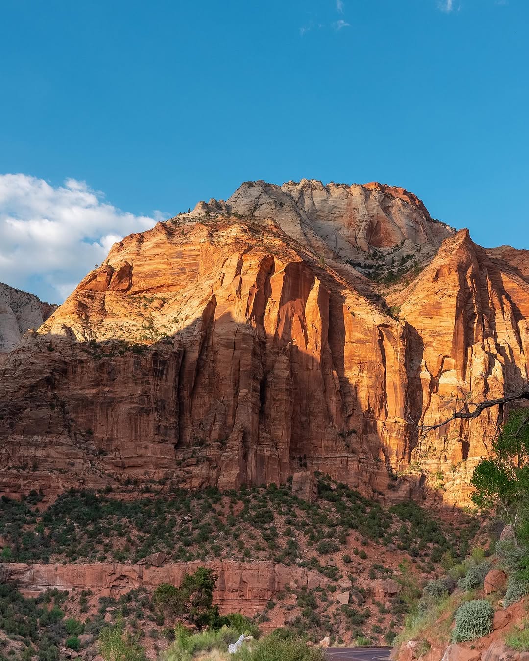 LANDSCAPES image Zion_Landscapes.jpeg
