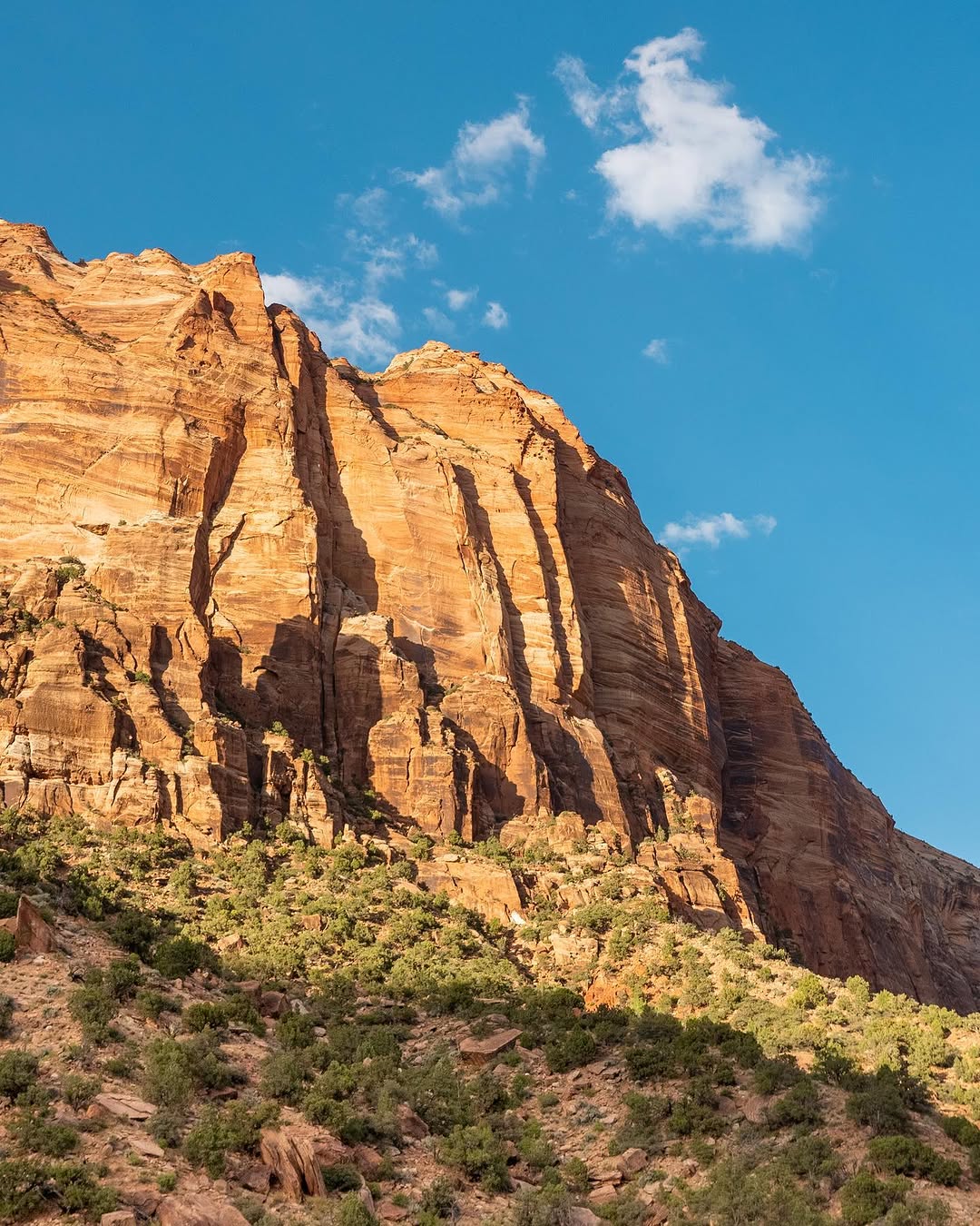 LANDSCAPES image Zion_Landscapes_2.jpeg
