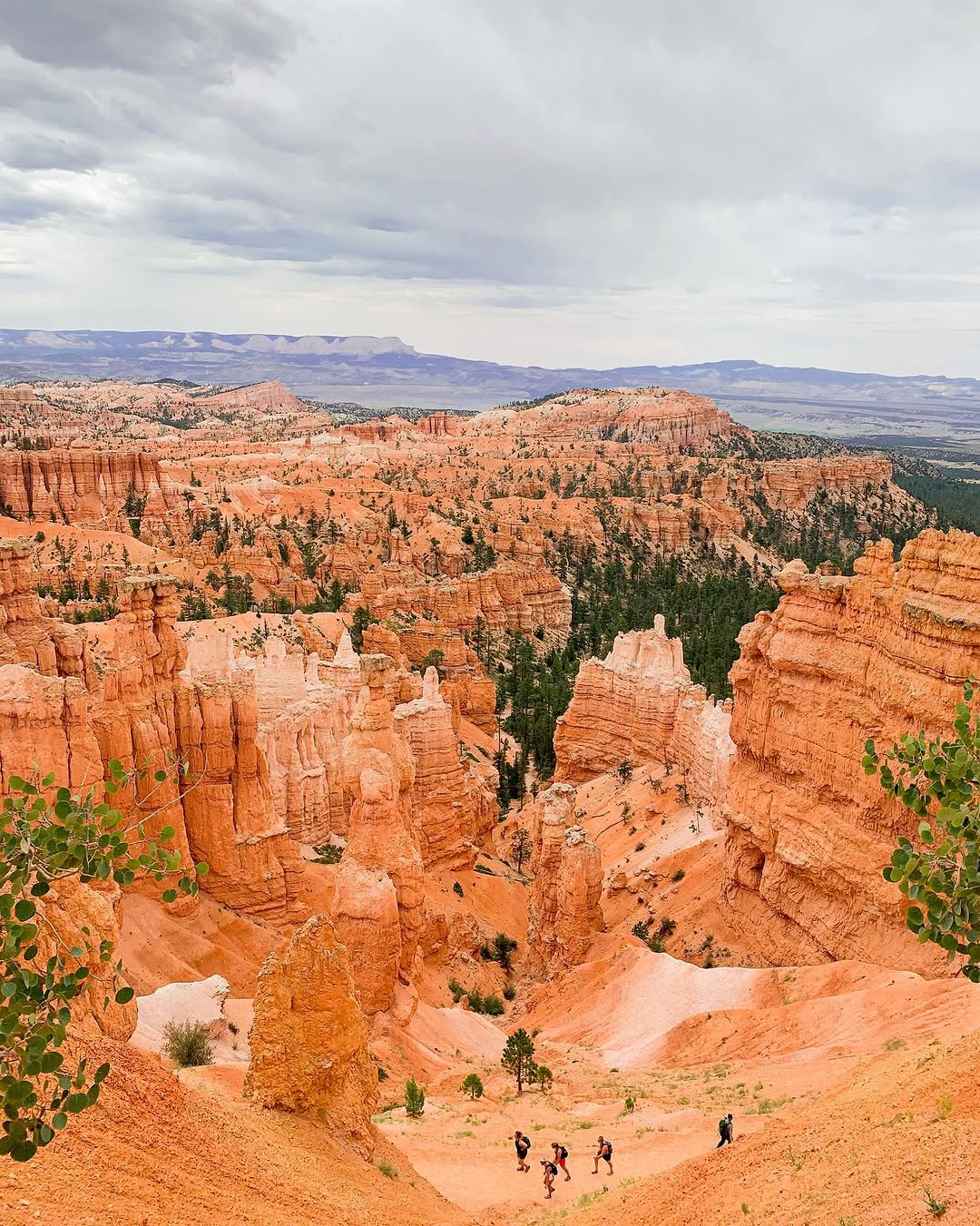 LANDSCAPES image Zion_Landscapes_3.jpeg