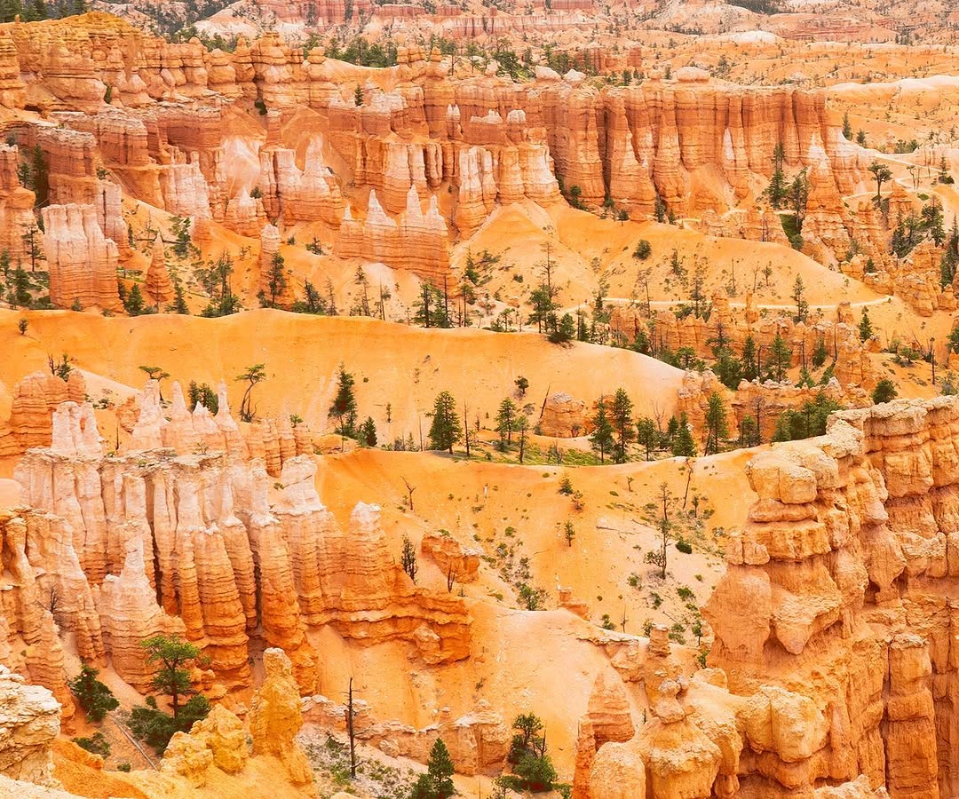 LANDSCAPES image Zion_Landscapes_4.jpeg